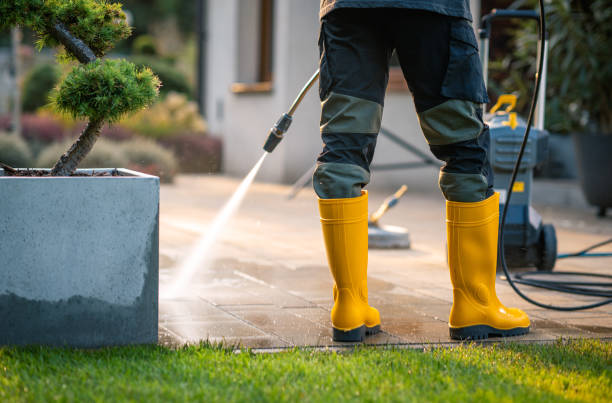 Best Window Cleaning in Pennington Gap, VA